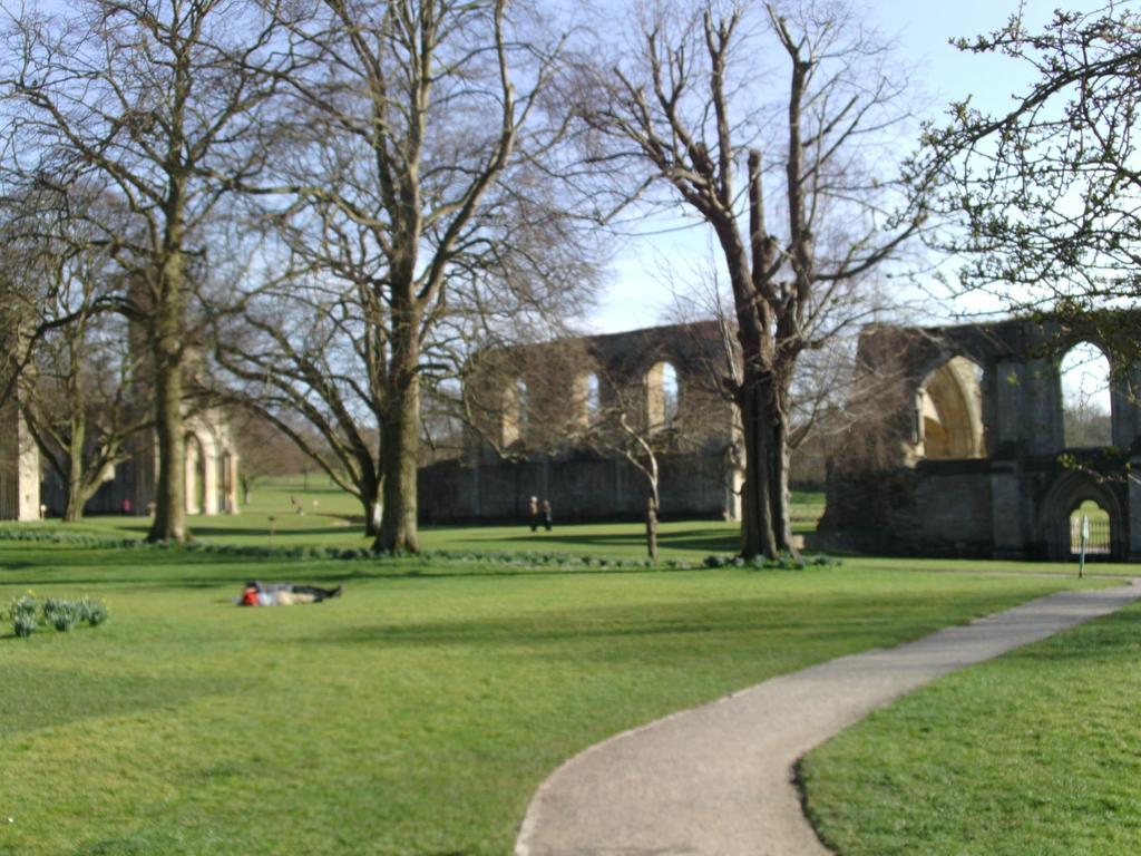 Sacred Garden Retreat Leilighet Glastonbury Eksteriør bilde